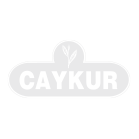 Çaykur